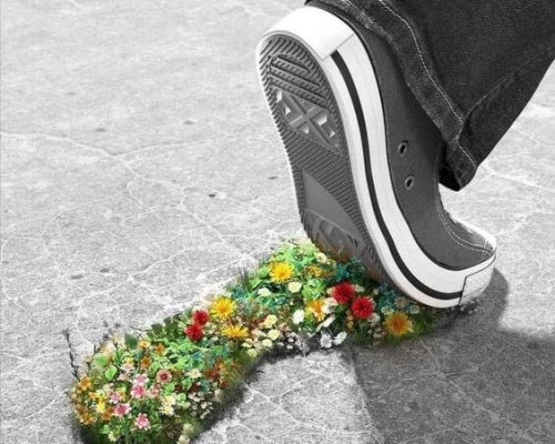 Impatto Sociale _RadiNext