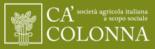 ca-colonna-orr